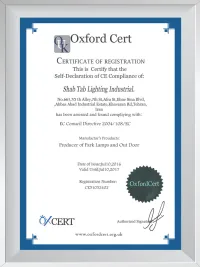 شهادة المجلس الأوروبي(EC Council)