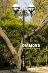 Shabtab Diamond Park Light + Upward Senator Double Arm + Kaj Pole Shabtab Diamond Park Light + Upward Senator Double Arm + Kaj Pole