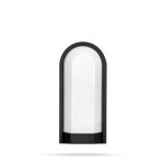 Avash Wall Light