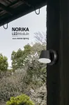 Shabtab Norika Wall Light