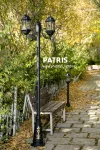چراغ پارکی شب تاب مدل پاتریس + دو شاخه کلاسیک سربالا + پایه سرو چراغ پارکی شب تاب مدل پاتریس + دو شاخه کلاسیک سربالا + پایه سرو
