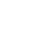 Shabtab Lighting