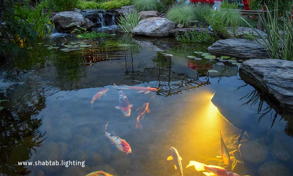 نورپردازی برکه مصنوعی در محوطه باغ ویلا